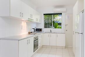 Cairns City Palms