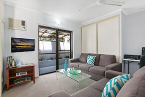 Cairns City Palms