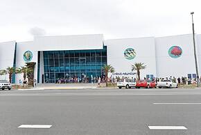 Cairns City Palms