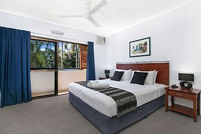 Cairns City Palms