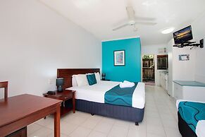 Cairns City Palms