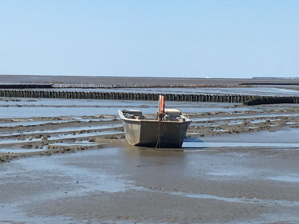 Freie Sicht Das Nordsee-Gesundheitshaus 2