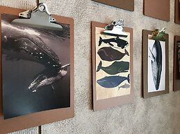Hotel Papa Whale