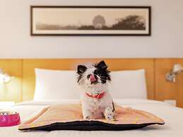 ibis Chennai OMR Hotel