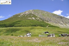 Appartamenti Green