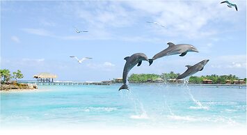 Anthony's Key Resort