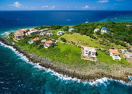 Coral View