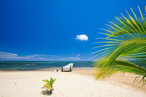 Sand Dollar