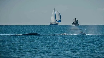 Cabañas Las Brisas