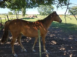 Pampas del Sur