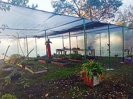 Pampas del Sur