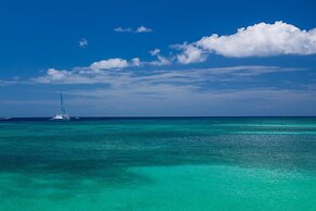 Coral Sands 4