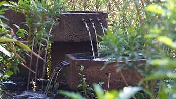 Woodland Gardens