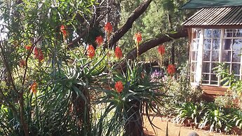 Woodland Gardens