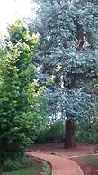 Woodland Gardens