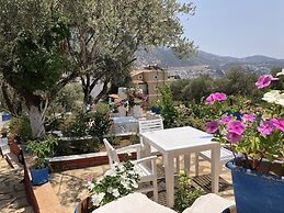 Lizo Hotel