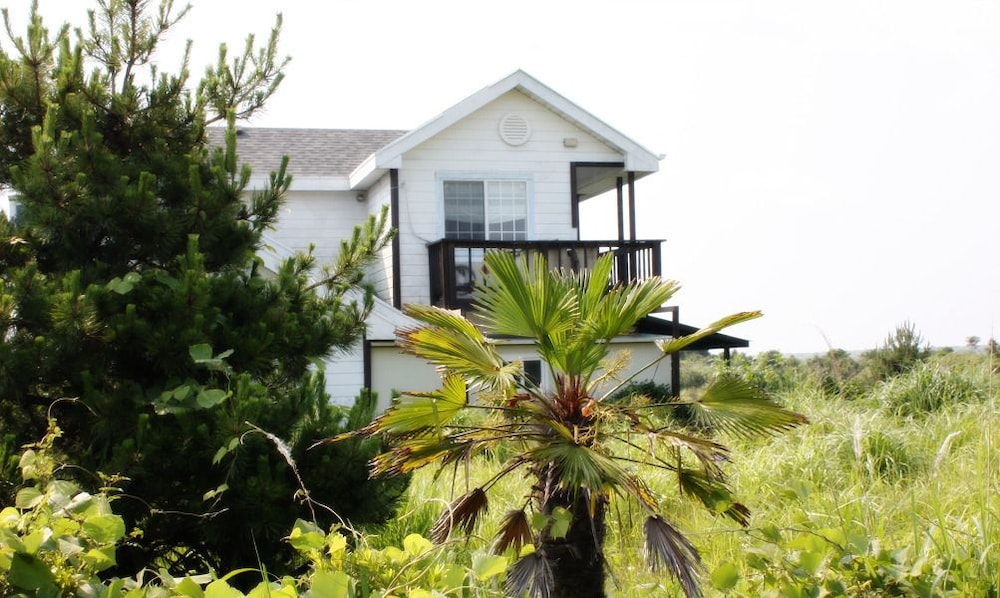 Sharon's House