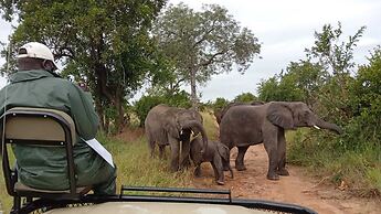Elephant Plains Game Lodge