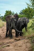 Elephant Plains Game Lodge