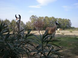 Camping Le Sainte Marie