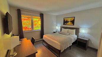 Amber Hotel