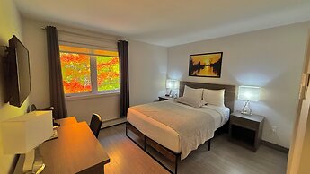 Amber Hotel
