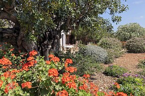 Finca Son Marimon - Adults Only