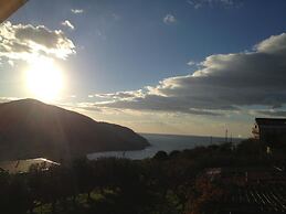 B&B Belvedere