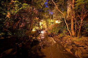 Kayausagi