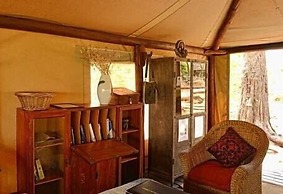 Camp Linyanti
