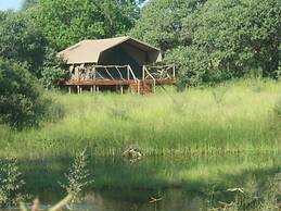 Camp Linyanti