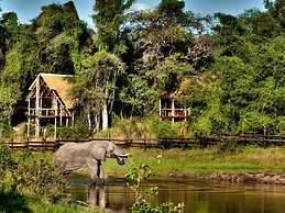 Camp Linyanti