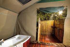 Camp Linyanti
