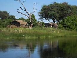 Camp Linyanti