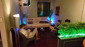 Borneo Seahare Guesthouse - Hostel