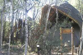 Letsatsi Game Lodge
