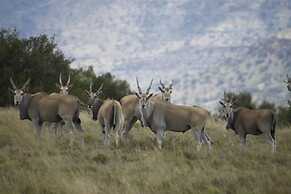 Letsatsi Game Lodge
