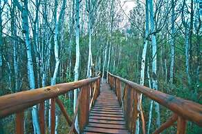 Letsatsi Game Lodge
