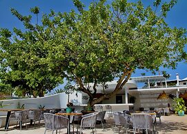 Casas Heddy Well-being Resort