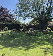 The Honingham Buck