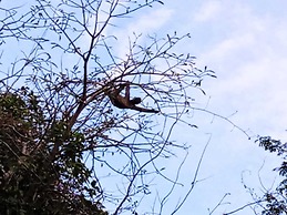 Jacamar Lodge Expeditions