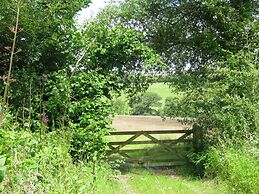 Hollamoor Farm B&B