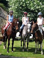 Hollamoor Farm B&B