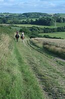 Hollamoor Farm B&B