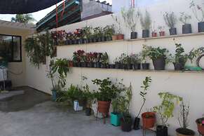 Hotel Boutique La Orquidea