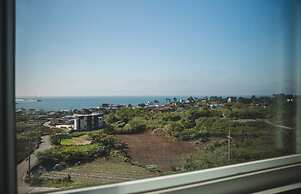 Sally's Jeju