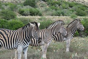 Kudu Ridge Game Lodge