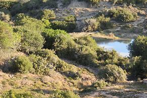 Kudu Ridge Game Lodge