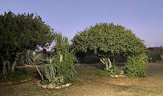 Kudu Ridge Game Lodge