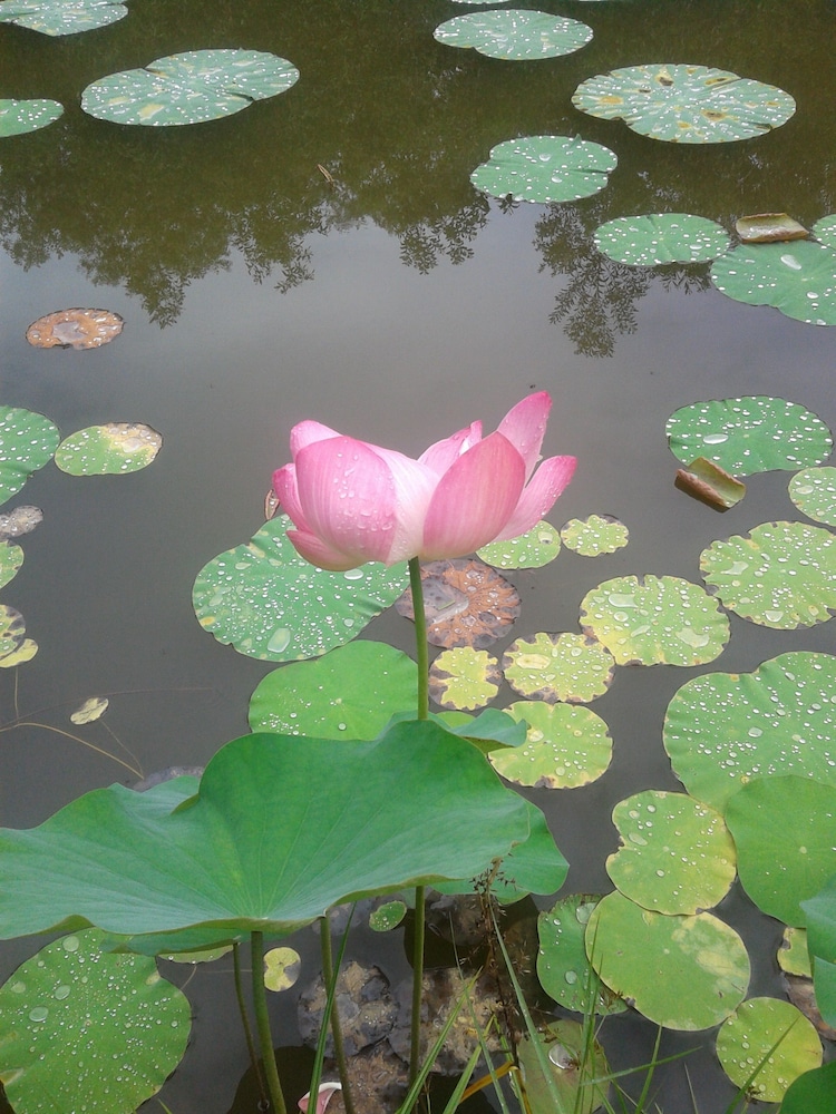North Borneo Biostation Resort